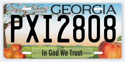 GA license plate PXI2808