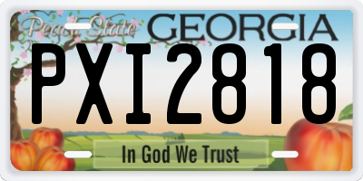 GA license plate PXI2818