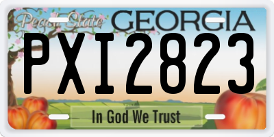 GA license plate PXI2823