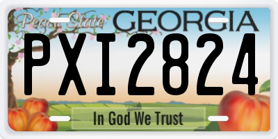 GA license plate PXI2824