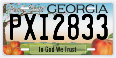 GA license plate PXI2833