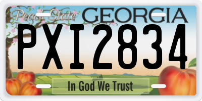 GA license plate PXI2834