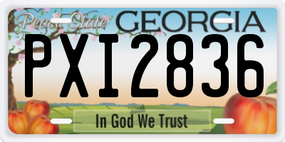 GA license plate PXI2836