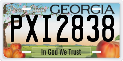 GA license plate PXI2838