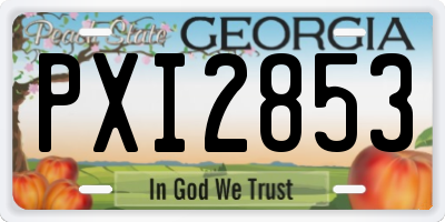 GA license plate PXI2853