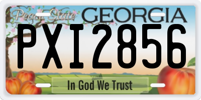 GA license plate PXI2856