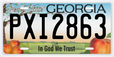 GA license plate PXI2863