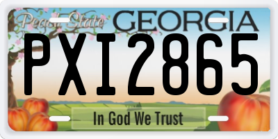 GA license plate PXI2865