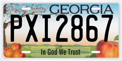 GA license plate PXI2867