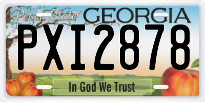 GA license plate PXI2878