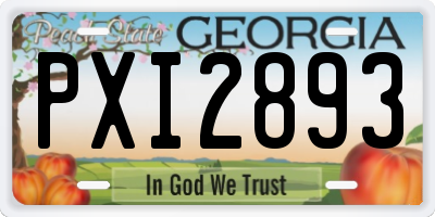 GA license plate PXI2893