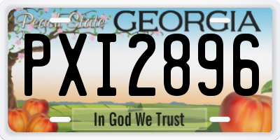GA license plate PXI2896