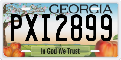 GA license plate PXI2899