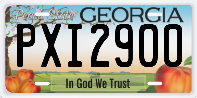 GA license plate PXI2900