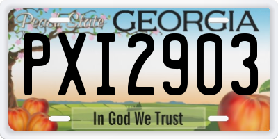 GA license plate PXI2903