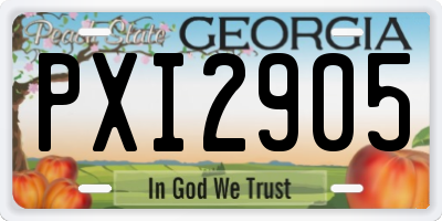 GA license plate PXI2905