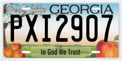 GA license plate PXI2907
