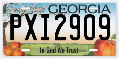 GA license plate PXI2909