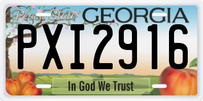 GA license plate PXI2916