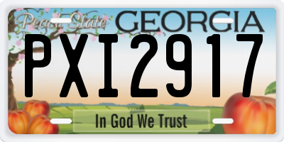 GA license plate PXI2917