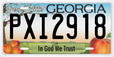 GA license plate PXI2918