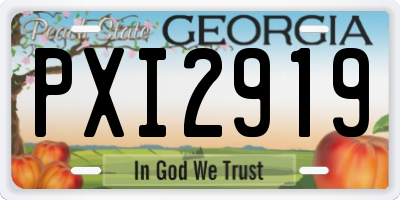 GA license plate PXI2919