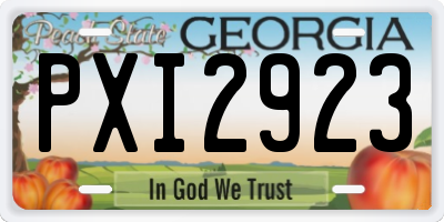 GA license plate PXI2923