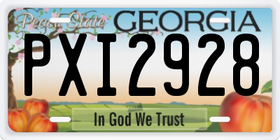 GA license plate PXI2928