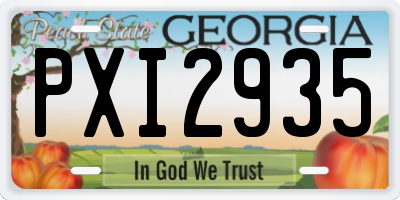 GA license plate PXI2935