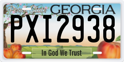 GA license plate PXI2938