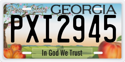 GA license plate PXI2945