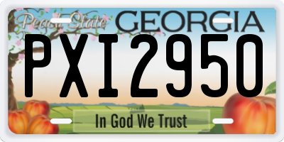 GA license plate PXI2950