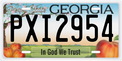 GA license plate PXI2954