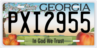 GA license plate PXI2955