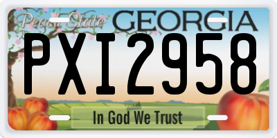 GA license plate PXI2958