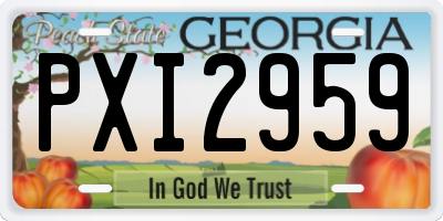 GA license plate PXI2959