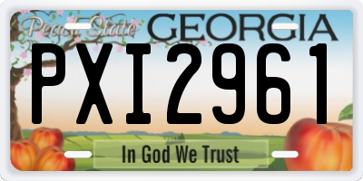 GA license plate PXI2961