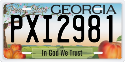 GA license plate PXI2981