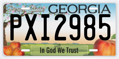 GA license plate PXI2985