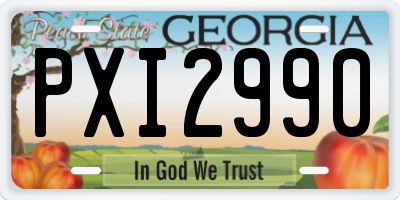 GA license plate PXI2990