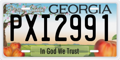 GA license plate PXI2991