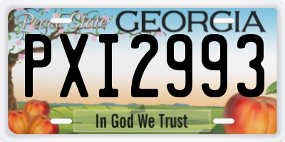 GA license plate PXI2993