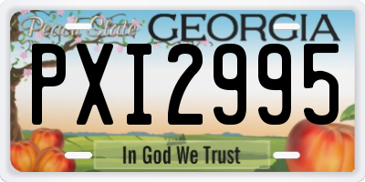 GA license plate PXI2995