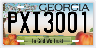 GA license plate PXI3001