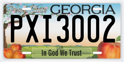GA license plate PXI3002