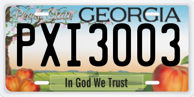 GA license plate PXI3003