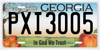 GA license plate PXI3005