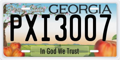 GA license plate PXI3007
