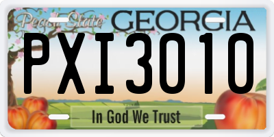 GA license plate PXI3010