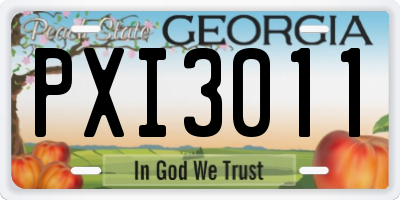 GA license plate PXI3011